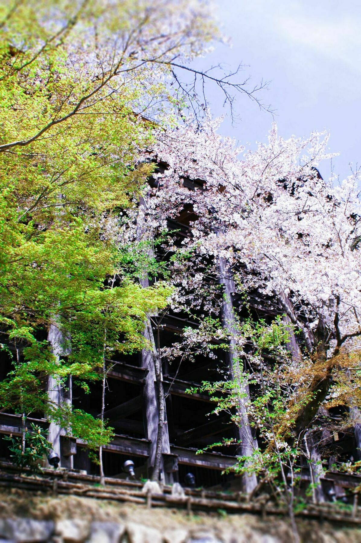Stay Sakura Kyoto Machiya Akari Екстериор снимка